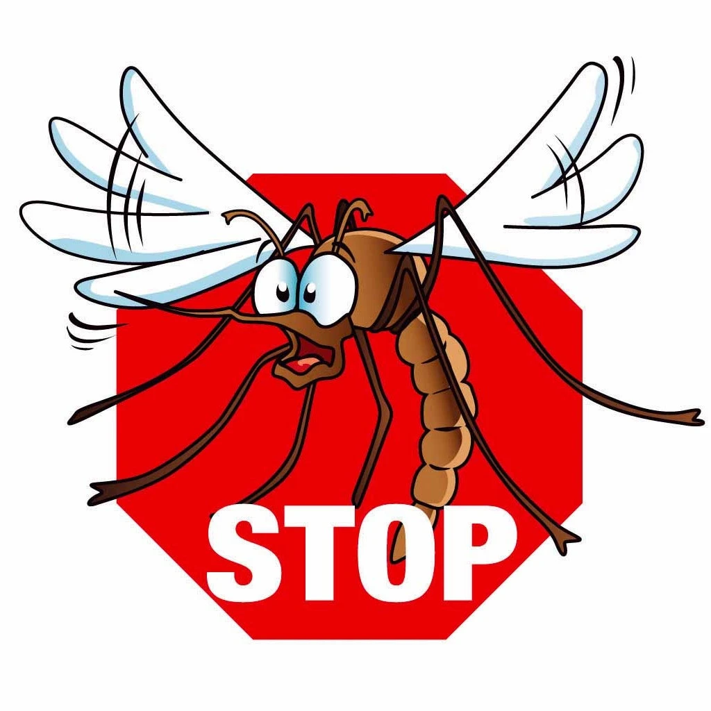 3 Géraniums Tip Top Duet 3 3 Géraniums Tip Top Duet – Image 3