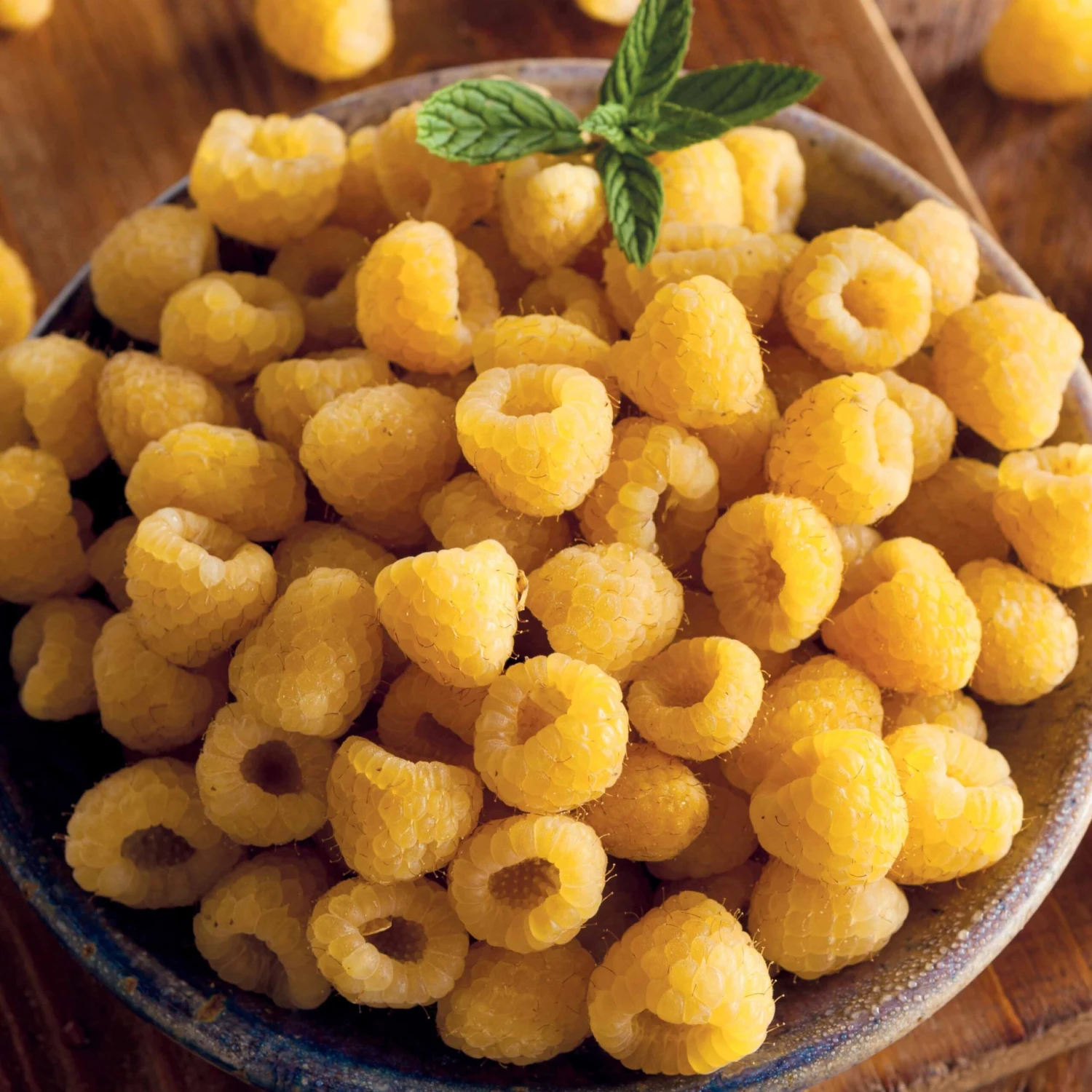 Framboisier Remontant Fallgold 2 Framboisier Remontant Fallgold – Image 2