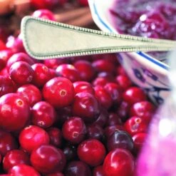 Collection De 4 Arbustes à Fruits Vitaminés -Fournitures De Jardin Soldes 2024 104035 6