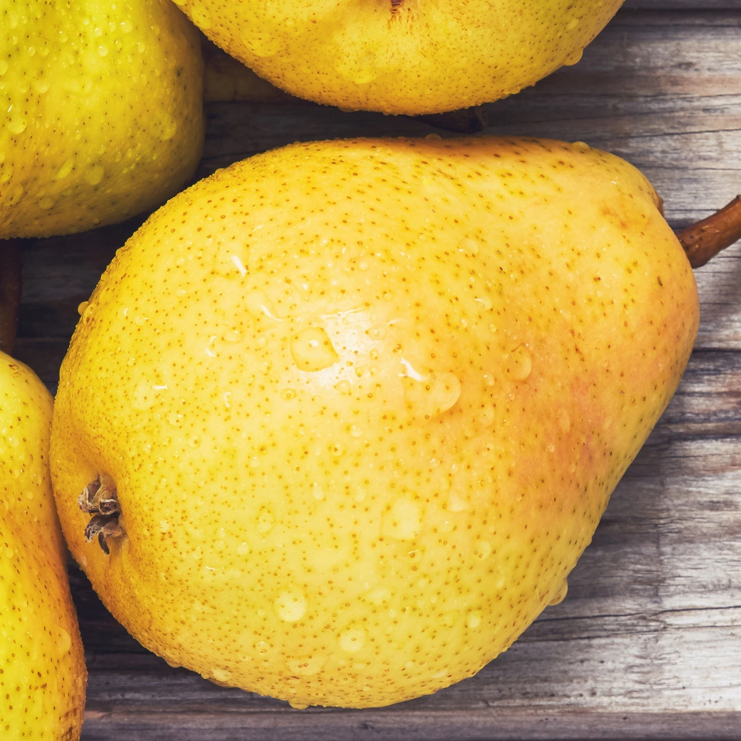 Poirier William's - Bon Chrétien 3 Poirier William's - Bon Chrétien – Image 3