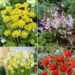 Fournitures De Jardin Soldes 2024 -Fournitures De Jardin Soldes 2024 MON 031436 2 1706797900523