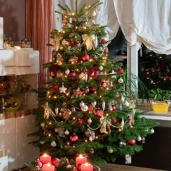 Sapin De Noël Naturel Nordmann 125/ 150 Cm Livré Avec Sa Bûche -Fournitures De Jardin Soldes 2024 ado 100707 3