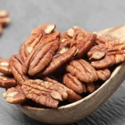 Pacanier - Noix De Pécan -Fournitures De Jardin Soldes 2024 jar 107107 3