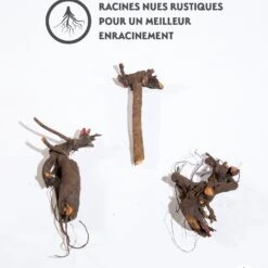 Mélange De 3 Pivoines : Immaculée, Sorbet, Red Charm -Fournitures De Jardin Soldes 2024 qlz 25931 6