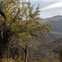 Fournitures De Jardin Soldes 2024 -Fournitures De Jardin Soldes 2024 rav 103185 4