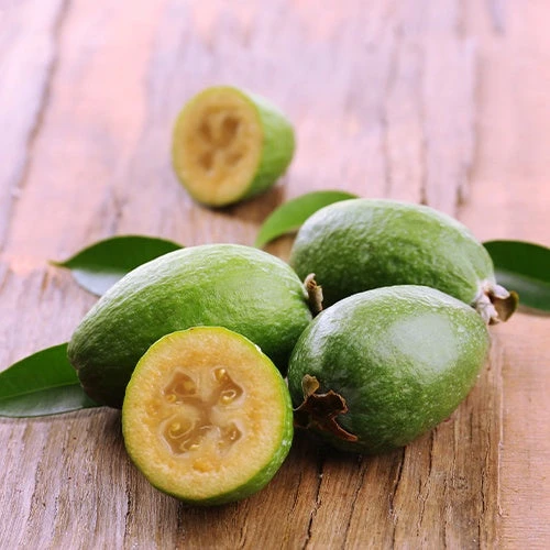 Goyavier Du Bresil 8 Goyavier Du Bresil – Image 8